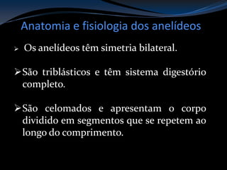 Anatomia e fisiologia dos anelídeos
 Os anelídeos têm simetria bilateral.
São triblásticos e têm sistema digestório
completo.
São celomados e apresentam o corpo
dividido em segmentos que se repetem ao
longo do comprimento.
 