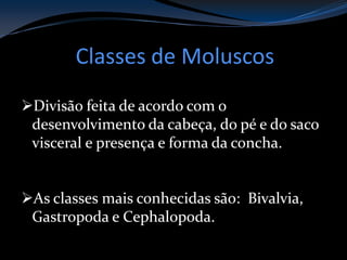 Classes de Moluscos
Divisão feita de acordo com o
desenvolvimento da cabeça, do pé e do saco
visceral e presença e forma da concha.
As classes mais conhecidas são: Bivalvia,
Gastropoda e Cephalopoda.
 