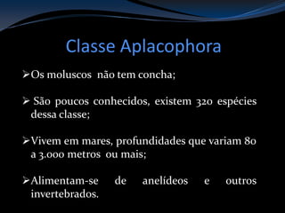 Classe Aplacophora
Os moluscos não tem concha;
 São poucos conhecidos, existem 320 espécies
dessa classe;
Vivem em mares, profundidades que variam 80
a 3.000 metros ou mais;
Alimentam-se de anelídeos e outros
invertebrados.
 