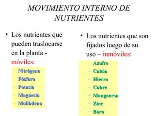 • Los nutrientes que
pueden traslocarse
en la planta -
móviles:
– NitrNitróógenogeno
– FFóósforosforo
– PotasioPotasio
– MagnesioMagnesio
– MolibdenoMolibdeno
• Los nutrientes que son
fijados luego de su
uso – inmóviles:
– AzufreAzufre
– CalcioCalcio
– HierroHierro
– CobreCobre
– ManganesoManganeso
– ZincZinc
– BoroBoro
MOVIMIENTO INTERNO DE
NUTRIENTES
 