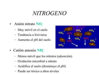 NITROGENO
• Anión nitrato NO3
-
– Muy móvil en el suelo
– Tendencia a lixiviarse
– Aumenta el pH del suelo
• Catión amonio NH4
+
– Menos móvil que los nitratos (adsorción)
– Oxidación microbial a nitrato
– Acidifica el suelo (disminuye el pH)
– Puede ser tóxico a altos niveles
 