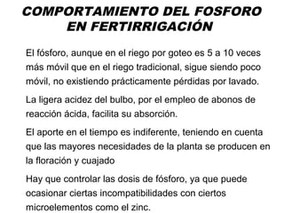 COMPORTAMIENTO DEL FOSFORO
EN FERTIRRIGACIÓN
El fósforo, aunque en el riego por goteo es 5 a 10 veces
más móvil que en el riego tradicional, sigue siendo poco
móvil, no existiendo prácticamente pérdidas por lavado.
La ligera acidez del bulbo, por el empleo de abonos de
reacción ácida, facilita su absorción.
El aporte en el tiempo es indiferente, teniendo en cuenta
que las mayores necesidades de la planta se producen en
la floración y cuajado
Hay que controlar las dosis de fósforo, ya que puede
ocasionar ciertas incompatibilidades con ciertos
microelementos como el zinc.
 