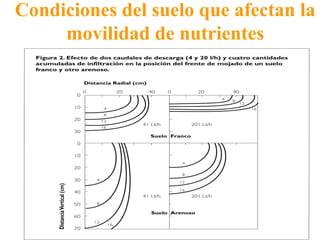Condiciones del suelo que afectan la
movilidad de nutrientes
 