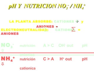 pH Y NUTRICION NOpH Y NUTRICION NO33
--
/ NH/ NH44
++
LA PLANTA ABSORBE: CATIONES ++ y
ANIONES --
ELECTRONEUTRALIDAD: CATIONES =
ANIONES
NO3
-
nutrición A > C OH-
out pH

anionica
NH4
+
nutrición C > A H+
out pH

cationica
 