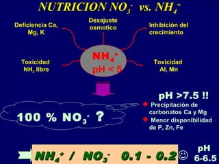 NUTRICION NONUTRICION NO33
--
vs. NHvs. NH44
++
Toxicidad
NH3 libre
Deficiencia Ca,
Mg, K
Inhibición del
crecimiento
Toxicidad
Al, Mn
Desajuste
osmotico
NH4
+
pH < 5
100 % NO3
-
?
pH >7.5 !!
 Precipitación de
carbonatos Ca y Mg
 Menor disponibilidad
de P, Zn, Fe
NHNH44
++
/ NO/ NO33
--
0.1 - 0.20.1 - 0.2
pH
6-6.5
 