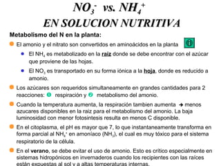 NONO33
--
vs. NHvs. NH44
++
EN SOLUCION NUTRITIVAEN SOLUCION NUTRITIVA
Metabolismo del N en la planta:
 El amonio y el nitrato son convertidos en aminoácidos en la planta
 El NH4 es metabolizado en la raíz donde se debe encontrar con el azúcar
que proviene de las hojas.
 El NO3 es transportado en su forma iónica a la hoja, donde es reducido a
amonio.
 Los azúcares son requeridos simultaneamente en grandes cantidades para 2
reacciones:  respiración y  metabolismo del amonio.
 Cuando la temperatura aumenta, la respiración tambien aumenta  menos
azucares disponibles en la raiz para el metabolismo del amonio. La baja
luminosidad con menor fotosintesis resulta en menos C disponible.
 En el citoplasma, el pH es mayor que 7, lo que instantaneamente transforma en
forma parcial al NH4
+
en amoníaco (NH3), el cual es muy tóxico para el sistema
respiratorio de la célula.
 En el verano, se debe evitar el uso de amonio. Esto es crítico especialmente en
sistemas hidropónicos en invernaderos cuando los recipientes con las raíces
están expuestas al sol y a altas temperaturas internas.
 