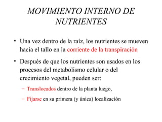 MOVIMIENTO INTERNO DE
NUTRIENTES
• Una vez dentro de la raíz, los nutrientes se mueven
hacia el tallo en la corriente de la transpiración
• Después de que los nutrientes son usados en los
procesos del metabolismo celular o del
crecimiento vegetal, pueden ser:
– Translocados dentro de la planta luego,
– Fijarse en su primera (y única) localización
 