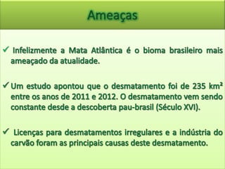 Mata Atlântica