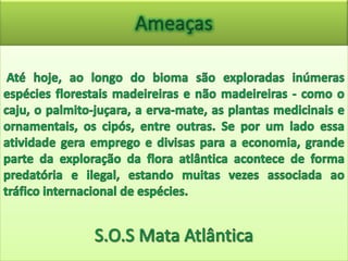 Mata Atlântica
