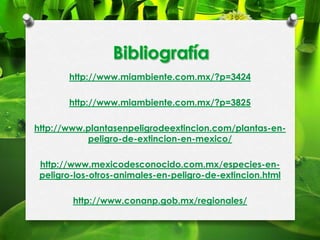 http://www.miambiente.com.mx/?p=3424
http://www.miambiente.com.mx/?p=3825
http://www.plantasenpeligrodeextincion.com/plantas-enpeligro-de-extincion-en-mexico/
http://www.mexicodesconocido.com.mx/especies-enpeligro-los-otros-animales-en-peligro-de-extincion.html
http://www.conanp.gob.mx/regionales/

 