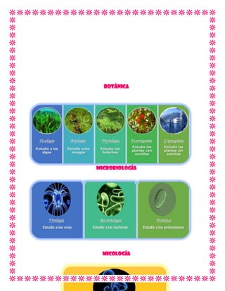 BOTÁNICA

MICROBIOLOGÍA

MICOLOGÍA

 