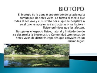 El biotopo es la zona o soporte donde se asienta la
comunidad de seres vivos. Lo forma el medio que
rodea al ser vivo y el sustrato por el que se desplaza o
en el que se apoyan sus estructuras y los factores
físico-químicos que les afectan.
Biotopo es el espacio físico, natural y limitado donde
se desarrolla la biocenosis o Comunidad ,conjuntos de
seres vivos de distintas especies que conviven en un
mismo lugar.

 