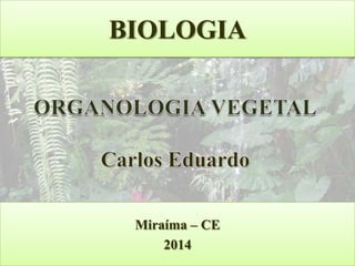 BIOLOGIA

Miraíma – CE
2014

 
