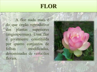 FLOR
A flor nada mais é
do que órgão reprodutivo
das plantas superiores
(angiospermas). Uma flor
é geralmente constituída
por quatro conjuntos de
folhas
modificadas,
denominadas de verticilos
florais.

 