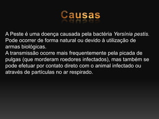 A Peste é uma doença causada pela bactéria Yersìnia pestis.
Pode ocorrer de forma natural ou devido à utilização de
armas biológicas.
A transmissão ocorre mais frequentemente pela picada de
pulgas (que morderam roedores infectados), mas também se
pode efetuar por contato direto com o animal infectado ou
através de partículas no ar respirado.
 