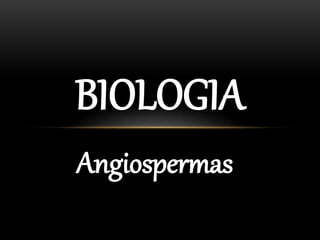 Angiospermas
BIOLOGIA
 
