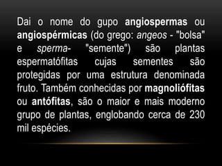 Dai o nome do gupo angiospermas ou
angiospérmicas (do grego: angeos - "bolsa"
e sperma- "semente") são plantas
espermatófitas cujas sementes são
protegidas por uma estrutura denominada
fruto. Também conhecidas por magnoliófitas
ou antófitas, são o maior e mais moderno
grupo de plantas, englobando cerca de 230
mil espécies.
 