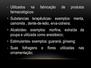 - Utilizados na fabricação de produtos
farmacológicos:
• Substancias terapêuticas- exemplos: menta,
camomila , dente-de-leão, erva-cidreira;
• Alcaloides- exemplos: morfina, extraída da
poupa e utilizada como anestésico;
• Estimulantes- exemplos: guaraná, ginseng;
- Suas folhagens e flores utilizadas nas
ornamentação;
 