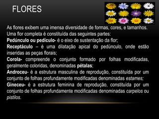 FLORES
As flores exibem uma imensa diversidade de formas, cores, e tamanhos.
Uma flor completa é constituída das seguintes partes:
Pedúnculo ou pedículo- é o eixo de sustentação da flor;
Receptáculo – é uma dilatação apical do pedúnculo, onde estão
inseridas as peças florais;
Corola- compreende o conjunto formado por folhas modificadas,
geralmente coloridas, denominadas pétalas;
Androceu- é a estrutura masculina de reprodução, constituída por um
conjunto de folhas profundamente modificadas denominadas estames;
Gineceu- é a estrutura feminina de reprodução, constituída por um
conjunto de folhas profundamente modificadas denominadas carpelos ou
pistilos.
 