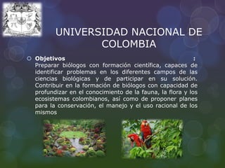 UNIVERSIDAD NACIONAL DE
COLOMBIA
 Objetivos :
Preparar biólogos con formación científica, capaces de
identificar problemas en los diferentes campos de las
ciencias biológicas y de participar en su solución.
Contribuir en la formación de biólogos con capacidad de
profundizar en el conocimiento de la fauna, la flora y los
ecosistemas colombianos, así como de proponer planes
para la conservación, el manejo y el uso racional de los
mismos
 