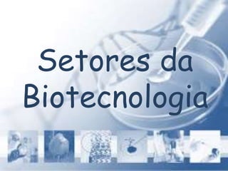 Setores da
Biotecnologia
 