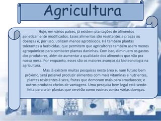 Agricultura
Hoje, em vários países, já existem plantações de alimentos
geneticamente modificados. Esses alimentos são resistentes a pragas ou
doenças e, por isso, utilizam menos agrotóxicos. Há também plantas
tolerantes a herbicidas, que permitem que agricultores também usem menos
agroquímicos para combater plantas daninhas. Com isso, diminuem os gastos
dos produtores, além de aumentar a qualidade dos alimentos que vão pra
nossa mesa. Por enquanto, esses são os maiores avanços da biotecnologia na
agricultura.
Mas já existem muitas pesquisas nesta área e, num futuro bem
próximo, será possível produzir alimentos com mais vitaminas e nutrientes,
plantas resistentes à seca, frutas que demoram mais para amadurecer, e
outros produtos cheios de vantagens. Uma pesquisa bem legal está sendo
feita para criar plantas que servirão como vacinas contra várias doenças.
 