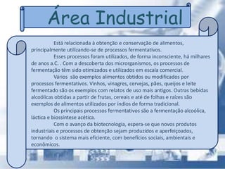 Área Industrial
Está relacionada à obtenção e conservação de alimentos,
principalmente utilizando-se de processos fermentativos.
Esses processos foram utilizados, de forma inconsciente, há milhares
de anos a.C. . Com a descoberta dos microrganismos, os processos de
fermentação têm sido otimizados e utilizados em escala comercial.
Vários são exemplos alimentos obtidos ou modificados por
processos fermentativos. Vinhos, vinagres, cervejas, pães, queijos e leite
fermentado são os exemplos com relatos de uso mais antigos. Outras bebidas
alcoólicas obtidas a partir de frutas, cereais e até de folhas e raízes são
exemplos de alimentos utilizados por índios de forma tradicional.
Os principais processos fermentativos são a fermentação alcoólica,
láctica e biossíntese acética.
Com o avanço da biotecnologia, espera-se que novos produtos
industriais e processos de obtenção sejam produzidos e aperfeiçoados,
tornando o sistema mais eficiente, com benefícios sociais, ambientais e
econômicos.
 