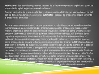 Productores. Son aquellos organismos capaces de elaborar compuestos orgánicos a partir de 
sustancias inorgánicas presentes en el ambiente. 
Forman parte de este grupo las plantas verdes que realizan fotosíntesis usando la energía del 
Sol. Se denominan también organismos autótrofos –capaces de producir su propio alimento– 
o productores primarios 
Estos se denominan autótrofos por que generan su propio alimentos, atraves de sustancias 
inorganicas para su metabolismo. Los organismos autótrofos producen su masa celular y 
materia orgánica, a partir del dióxido de carbono, que es inorgánico, como única fuente de 
carbono, usando la luz o sustancias químicas como fuente de energía. Las plantas y otros 
organismos que usan la fotosíntesis son fotolitoautótrofos; las bacterias que utilizan la 
oxidación de compuestos inorgánicos como el anhídrido sulfuroso o compuestos ferrosos 
como producción de energía se llaman quimiolitotróficos. Los órganos autótrofos son los que 
producen el alimento de esos seres. Los seres autótrofos son una parte esencial en la cadena 
alimenticia, ya que absorben la energía solar o fuentes inorgánicas como el dióxido de 
carbono y las convierten en moléculas orgánicas que son utilizadas para desarrollar funciones 
biológicas como su propio crecimiento celular y la de otros seres vivos llamados heterótrofos 
que los utilizan como alimento. Los seres heterótrofos como los animales, los hongos, y la 
mayoría de bacterias y protozoos, dependen de los autótrofos ya que aprovechan su energía y 
la de la materia que contienen para fabricar moléculas orgánicas complejas. Los heterótrofos 
obtienen la energía rompiendo las moléculas de los seres autótrofos que han comido. 
 