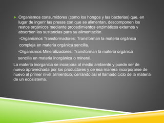  Organismos consumidores (como los hongos y las bacterias) que, en 
lugar de ingerir las presas con que se alimentan, descomponen los 
restos orgánicos mediante procedimientos enzimáticos externos y 
absorben las sustancias para su alimentación. 
-Organismos Transformadores: Transforman la materia orgánica 
compleja en materia orgánica sencilla. 
-Organismos Mineralizadores: Transforman la materia orgánica 
sencilla en materia inorgánica o mineral. 
La materia inorganica se incorpora al medio ambiente y puede ser de 
nuevo aprovechada por los productores y de esa manera incorporarse de 
nuevo al primer nivel alimenticio, cerrando asi el llamado ciclo de la materia 
de un ecosistema. 
 