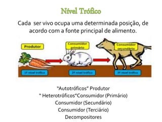 Cada ser vivo ocupa uma determinada posição, de 
acordo com a fonte principal de alimento. 
“Autotróficos” Produtor 
“ Heterotróficos”Consumidor (Primário) 
Consumidor (Secundário) 
Consumidor (Terciário) 
Decompositores 
 