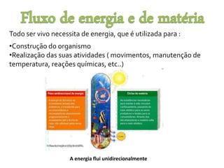 Todo ser vivo necessita de energia, que é utilizada para : 
•Construção do organismo 
•Realização das suas atividades ( movimentos, manutenção de 
temperatura, reações químicas, etc..) 
A energia flui unidirecionalmente 
 