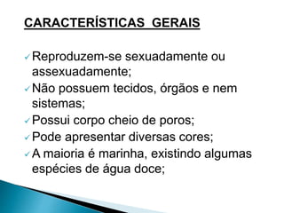 CARACTERÍSTICAS GERAIS
Reproduzem-se sexuadamente ou
assexuadamente;
Não possuem tecidos, órgãos e nem
sistemas;
Possui corpo cheio de poros;
Pode apresentar diversas cores;
A maioria é marinha, existindo algumas
espécies de água doce;