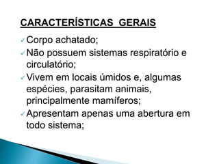 CARACTERÍSTICAS GERAIS
Corpo achatado;
Não possuem sistemas respiratório e
circulatório;
Vivem em locais úmidos e, algumas
espécies, parasitam animais,
principalmente mamíferos;
Apresentam apenas uma abertura em
todo sistema;
