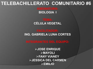 TELEBACHILLERATO COMUNITARIO #6
ASIGNATURA:
BIOLOGIA I
TEMA:
CÉLULA VEGETAL
FACILITADOR:
ING. GABRIELA LUNA CORTES
INTEGRANTES DEL EQUIPO:
JOSE ENRIQUE
MAYOLI
FANY VIANEY
JESSICA DEL CARMEN
EMILIO
 