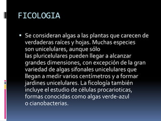 FICOLOGIA
 Se consideran algas a las plantas que carecen de
verdaderas raíces y hojas. Muchas especies
son unicelulares, aunque sólo
las pluricelulares pueden llegar a alcanzar
grandes dimensiones, con excepción de la gran
variedad de algas sifonales unicelulares que
llegan a medir varios centímetros y a formar
jardines unicelulares. La ficología también
incluye el estudio de células procarioticas,
formas conocidas como algas verde-azul
o cianobacterias.
 