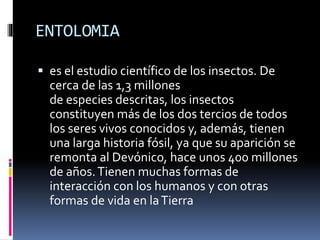 ENTOLOMIA
 es el estudio científico de los insectos. De
cerca de las 1,3 millones
de especies descritas, los insectos
constituyen más de los dos tercios de todos
los seres vivos conocidos y, además, tienen
una larga historia fósil, ya que su aparición se
remonta al Devónico, hace unos 400 millones
de años.Tienen muchas formas de
interacción con los humanos y con otras
formas de vida en laTierra
 