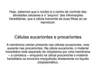 Hoje, sabemos que o núcleo é o centro de controle das
atividades celulares e o “arquivo” das informações
hereditárias, que a célula transmite às suas filhas ao se
reproduzir.
Células eucariontes e procariontes
A membrana celular presente nas células eucariontes, mas
ausente nas procariontes. Na célula eucarionte, o material
hereditário está separado do citoplasma por uma membrana
– a carioteca – enquanto na célula procarionte o material
hereditário se encontra mergulhado diretamente no líquido
citoplasmático.
 