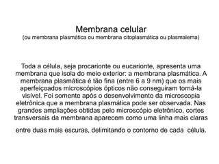 Membrana celular
(ou membrana plasmática ou membrana citoplasmática ou plasmalema)
Toda a célula, seja procarionte ou eucarionte, apresenta uma
membrana que isola do meio exterior: a membrana plasmática. A
membrana plasmática é tão fina (entre 6 a 9 nm) que os mais
aperfeiçoados microscópios ópticos não conseguiram torná-la
visível. Foi somente após o desenvolvimento da microscopia
eletrônica que a membrana plasmática pode ser observada. Nas
grandes ampliações obtidas pelo microscópio eletrônico, cortes
transversais da membrana aparecem como uma linha mais claras
entre duas mais escuras, delimitando o contorno de cada célula.
 