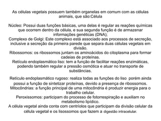 As células vegetais possuem também organelas em comum com as células
animais, que são:Célula
Núcleo: Possui duas funções básicas, uma delas é regular as reações químicas
que ocorrem dentro da célula, e sua segunda função é de armazenar
informações genéticas (DNA);
Complexo de Golgi: Este complexo está associado aos processos de secreção,
inclusive a secreção da primeira parede que separa duas células vegetais em
divisão.
Ribossomos: os ribossomos juntam os aminoácidos do citoplasma para formar
cadeias de proteínas.
Retículo endoplasmático liso: tem a função de facilitar reações enzimáticas,
podendo também regular a pressão osmótica e atuar no transporte de
substâncias.
Retículo endoplasmático rugoso: realiza todas as funções do liso porém ainda
possui a função de sintetizar proteínas, devido a presença de ribossomos.
Mitocôndrias: a função principal de uma mitocôndria é produzir energia para o
trabalho celular.
Peroxissomos: participam do processo de fotorrespiração e auxiliam no
metabolismo lipídico.
A célula vegetal ainda conta com centríolos que participam da divisão celular da
célula vegetal e os lisossomos que fazem a digestão intracelular.
 