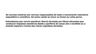 Os nervios motores son nervios responsables de todo o movemento voluntario
esquelético e somático, tal como cando se move un brazo ou unha perna.
Entendemos por nervio sensitivo: Nervio formado por fibras aferentes que
conducen impulsos sensitivos desde a periferia do corpo ata o encéfalo ou a
medula espinal a través das raíces raquídeas dorsales.
 