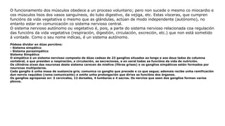 O funcionamento dos músculos obedece a un proceso voluntario; pero non sucede o mesmo co miocardio e
cos músculos lisos dos vasos sanguíneos, do tubo digestivo, da vejiga, etc. Estas vísceras, que cumpren
funcións da vida vegetativa o mesmo que as glándulas, actúan de modo independente (autónomo), no
entanto estar en comunicación co sistema nervioso central.
O sistema nervioso autónomo ou vegetativo é, pois, a parte do sistema nervioso relacionada coa regulación
das funcións da vida vegetativa (respiración, digestión, circulación, excreción, etc.) que non está sometido
á vontade. Como o seu nome indícao, é un sistema autónomo.
Pódese dividor en dúas porcións:
- Sistema simpático
- Sistema parasimpático
Sistema Simpático
O simpático é un sistema nervioso composto de dúas cadeas de 23 ganglios situados ao longo e aos dous lados da columna
vertebral, e que presiden a respiración, a circulación, as secreciones, e en xeral todas as funcións da vida de nutrición.
Os cilindros eixes das neuronas deste sistema carecen de mielina (fibras grises) e os ganglios simpáticos están formados por
neuronas multipolares.
Cada ganglio é unha masa de sustancia gris; comunica co ganglio que precede e co que segue; ademais recibe unha ramificación
dun nervio raquídeo (rama comunicante) e emite unha prolongación que dirixe as funcións dos órganos.
Os ganglios agrúpanse en: 3 cervicales, 12 dorsales, 4 lumbares e 4 sacros. Os nervios que saen dos ganglios forman varios
plexos.
 
