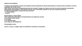 Sistema Parasimpático
O sistema parasimpático (á beira do simpático) está constituído por fibras pertencentes a certos nervios craneales e nervios
raquídeos (da rexión sacra).
Estas fibras ?que actúan independientemente da vontade? chegan aos órganos que han de excitar pasando previamente
polo ganglio parasimpático; este áchase situado xunto a devandito órgano ou nos seus mesmas estruturas.
O sistema parasimpático comprende dúas porcións:
- A cráneo-bulbar
- A sacra
Parasimpático cráneo-bulbar
Está constituído polas fibras correspondentes aos seguintes nervios:
a) ao motor ocular común
b) ao facial
c) ao glosofaríngeo
d) ao vago ou neumogástrico
Parasimpático sacro
Inerva o recto e a vejiga; relaxa os esfínteres e estimula a evacuación.
 