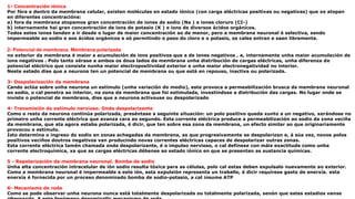 1- Concentración iónica
Por fóra e dentro da membrana celular, existen moléculas en estado iónico (con carga eléctricas positivas ou negativas) que se atopan
en diferentes concentracións:
a) fora da membrana atopamos gran concentración de iones de sodio (Na ) e iones cloruro (CI-)
b) internamente hai gran concentración de ions de potasio (K ) e ions de diversos ácidos orgánicos.
Todos estes iones tenden a ir desde o lugar de maior concentración ao de menor, pero a membrana neuronal é selectiva, sendo
impermeable ao sodio e aos ácidos orgánicos e só permitindo o paso do cloro e o potasio, os cales entran e saen libremente.
2- Potencial de membrana. Membrana polarizada
no exterior da membrana é maior a acumulación de ions positivos que a de iones negativos , e, internamente unha maior acumulación de
ions negativos . Polo tanto xérase a ambos os dous lados da membrana unha distribución de cargas eléctricas, unha diferenza de
potencial eléctrico que consiste nunha maior electropositividad exterior e unha maior electronegatividad no interior.
Neste estado dise que a neurona ten un potencial de membrana ou que está en repouso, inactiva ou polarizada.
3- Despolarización da membrana
Cando actúa sobre unha neurona un estímulo (unha variación do medio), este provoca a permeabilización brusca da membrana neuronal
ao sodio, o cal penetra ao interior, na zona da membrana que foi estimulada, investíndose a distribución das cargas. No lugar onde se
inviste o potencial de membrana, dise que a neurona activouse ou despolarizado
4- Transmisión do estímulo nervioso. Onda despolarizante
Como o resto da neurona continúa polarizada, preséntase a seguinte situación: un polo positivo queda xunto a un negativo, xerándose no
primeiro unha corrente eléctrica que avanza cara ao segundo. Esta corrente eléctrica produce a permeabilización ao sodio da zona veciña
da membrana, que ata agora estaba polarizada, é dicir, que ten sobre esa zona da membrana, un efecto similar ao que originariamente
provocou o estímulo.
Isto determina o ingreso do sodio en zonas achegadas da membrana, as que progresivamente se despolarizan e, á súa vez, novos polos
positivos veciños doutros negativos van producindo novas correntes eléctricas capaces de despolarizar outras zonas.
Esta corrente eléctrica tamén chamada onda despolarizante, é o impulso nervioso, o cal defínese con máis exactitude como unha
corrente electroquímica, xa que as cargas eléctricas débense ao estado iónico en que se presentan as sustancia químicas.
5 - Repolarización da membrana neuronal. Bomba de sodio
Unha alta concentración intracelular de ión sodio resulta tóxica para as células, polo cal estas deben expulsalo nuevamente ao exterior.
Como a membrana neuronal é impermeable a este ión, esta expulsión representa un traballo, é dicir requírese gasto de enerxía. esta
enerxía é fornecida por un proceso denominado bomba de sodio-potasio, a cal insume ATP
6- Mecanismo de roda
Como se pode observar unha neurona nunca está totalmente despolarizada ou totalmente polarizada, senón que estes estadios vanse
 