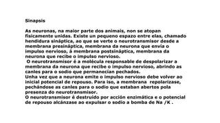 Sinapsis
As neuronas, na maior parte dos animais, non se atopan
físicamente unidas. Existe un pequeno espazo entre elas, chamado
hendidura sináptica, ao que se verte o neurotransmisor desde a
membrana presináptica, membrana da neurona que envía o
impulso nervioso, á membrana postsináptica, membrana da
neurona que recibe o impulso nervioso.
O neurotransmisor é a molécula responsable de despolarizar a
membrana da neurona que recibe o impulso nervioso, abrindo as
canles para o sodio que permanecían pechados.
Unha vez que a neurona emite o impulso nervioso debe volver ao
inicial potencial de repouso. Para iso, a membrana repolarizase,
pechándose as canles para o sodio que estaban abertos pola
presenza do neurotransmisor.
O neurotransmisor é destruído por acción enzimática e o potencial
de repouso alcánzase ao expulsar o sodio a bomba de Na /K .
 