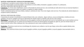 SISTEMA NERVIOSO DE ANIMAIS INVERTEBRADOS.
A medida que se ascende na escala evolutiva, faise máis complexo.
Nos máis evolucionados as neuronas tenden a concentrarse na rexión cefálica, formando os ganglios cerebrais. É a cefalización.
SISTEMA NERVIOSO DIFUSO (RETICULAR).
Celentéreos.- É a forma máis simplificada e menos evolucionada de sistema nervioso, esta constituído por unha rede nerviosa con neuronas bipolares e
multipolares (protoneuronas) capaces de conducir os impulsos en ambos sentidos.
Tamén se denominan plexos nerviosos (hidras, medusas e anémonas de mar). Non existe ningún centro nervioso. Nos tentáculos do animal atópanse os
receptores táctiles (cnidocilios).
SISTEMA NERVIOSO BILATERAL.
Característico de animais invertebrados de simetría bilateral, tales como: planarias , alguns moluscos, moscas (artróprodos) e lombrices de terra
(anélidos). Os nervios e ganglios nerviosos ao lado dereito do animal existen no esquerdo. polo que ten como simetria.
Platelmintos.- Estes presentan unha cefalización) con dous ganglios cerebrais do que parten dous nervios lonxitudinales que se unen mediante nervios
transversales, chamándose por iso sistema nervioso bilateral. Os ocelos son fotorreceptores encargados de captar luz, pero non forman imaxes. O
número usual de ocelos é dous, aínda que non é rara a presenza de varios como en planarias terrestres.
Nemátodos.- Presentan un anel nervioso circunfaríngeo do cal parten cara a adiante os nervios que chega e actua sobre as papilas labiales, setas
cefálicas e os anfidios.
Moluscos.- Nos caracoles de horta existen un par de ganglios cerebrais, un par de ganglios pedales e un par de ganglios interconectados entre si.
 