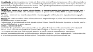 Os cefalópodos- posúen o sistema nervioso central máis desenvolvido dos invertebrados. As neuronas dos pulpos están concentradas no
centro do corpo. Os ganglios agrúpanse nun anel ao redor do esófago e forman o cerebro. Estes animais posúen órganos dos sentidos moi
desenvolvidos que lles permiten ser cazadores moi eficaces. Teñen capacidade para aprender novos comportamentos e considéraselles
como os invertebrados máis intelixentes e capaces de imitar
Artrópodos
É similar ao dos anélidos pero os ganglios son máis grandes e os órganos dos sentidos están moito máis desenvolvidos. malia a
complejidad dalgunhas condutas estes animais son incapaces de aprender outras condutas debido ao pequeno tamaño do seu
encéfalo
Nas moscas o sistema nervioso bilateral, está constituído por un par de ganglios cerebrais, tres pares de ganglios torácicos e ganglios
abdominales.
Anélidos.- Nas lombrices de terra o sistema nervioso caracterízase por presentar un par de cordóns nerviosos ventrales fusionados dentro
das capas musculares da parede do corpo.
Presentan un par de ganglios e un par de quetas por cada segmento corporal. O encéfalo desprazouse ligeramente en dirección posterior e
nos lumbrícidos localízase no terceiro segmento.
SISTEMA NERVIOSO RADIAL
Característico dos equinodermos (erizos de mar, estrelas de, mar, galletas de mar). Nas estrelas de mar o centro nervioso é un anel
nervioso situado ao redor da boca (por baixo da epidermis). Deste anel parte un nervio radial groso cara a cada brazo.
Con excepción dos ocelos que se sitúan nas puntas dos brazos, as estrelas carecen de órganos sensoriais especializados.
As células sensoriais epidérmicas son os receptores sensoriais primarios, prevalecen a nivel dos pés ambulacrales e crese que participan,
na recepción de estímulos luminosos, táctiles e químicos. Os esferidios son mecanorreceptores en erizos de mar.
 
