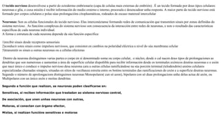 O tecido nervioso desenvólvese a partir do ectodermo embrionario (capa de celulas mais externas do embrión) . É un tecido formado por dous tipos celulares:
neuronas e glía, e cuxa misión é recibir información do medio externo e interno, procesala e desencadear unha resposta. A maior parte do tecido nervioso está
formado por corpos celulares e polas súas prolongacións citoplasmáticas, rodeados de escaso matereal intercelular
Neuronas: Son as células funcionales do tecido nervioso. Elas interconéctanse formando redes de comunicación que transmiten sinais por zonas definidas do
sistema nervioso . As funcións complexas do sistema nervioso son consecuencia da interacción entre redes de neuronas, e non o resultado das características
específicas de cada neurona individual.
A forma e estrutura de cada neurona depende da súa función específica:
1)recibir sinais desde receptores sensoriais
2)conducir estes sinais como impulsos nerviosos, que consisten en cambios na polaridad eléctrica a nivel do súa membrana celular
3)transmitir os sinais a outras neuronas ou a células efectoras
Dentro da neurona distinguimos varias partes:o corpo en sí denominado soma ou corpo celular, o núcleo, desde o cal nacen dous tipos de prolongaciones as
dendritas que son numerosas e aumentan a área de superficie celular dispoñible para recibir información desde os terminales axónicos doutras neuronas e o axón
que nace único e conduce o impulso nervioso desa neurona cara a outras células ramificándose na súa porción terminal (telodendrón) unións celulares
especializadas chamadas sinapsis, situadas en sitios de veciñanza estreita entre os botóns terminales das ramificaciones do axón e a superficie doutras neuronas.
Segundo o número de aprolongacions distinguimos neuronas Monopolares( cun só azon), bipolares con só duas prolongacions unha delas actua de axón, ou
Multipolares con un único axón e moitas dendritas.
Segundo a función que realizan, as neuronas poden clasificarse en:
Sensitivas, si reciben información que trasladan ao sistema nervioso central,
De asociación, que unen unhas neuronas con outras,
Motoras, si conectan cun órgano efector,
Mixtas, si realizan funcións sensitivas e motoras
 