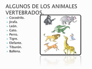  Cocodrilo.
 Jirafa.
 León.
 Gato.
 Perro.
 Tigre.
 Elefante.
 Tiburón.
 Ballena.
 