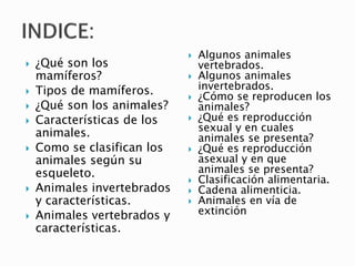  ¿Qué son los
mamíferos?
 Tipos de mamíferos.
 ¿Qué son los animales?
 Características de los
animales.
 Como se clasifican los
animales según su
esqueleto.
 Animales invertebrados
y características.
 Animales vertebrados y
características.
 Algunos animales
vertebrados.
 Algunos animales
invertebrados.
 ¿Cómo se reproducen los
animales?
 ¿Qué es reproducción
sexual y en cuales
animales se presenta?
 ¿Qué es reproducción
asexual y en que
animales se presenta?
 Clasificación alimentaria.
 Cadena alimenticia.
 Animales en vía de
extinción
 