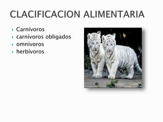  Carnívoros
 carnívoros obligados
 omnívoros
 herbívoros
 